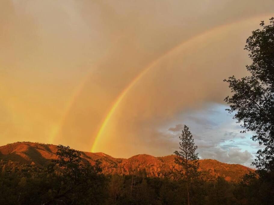 米德派恩斯Yosemite'S Scenic Hideaway别墅 外观 照片